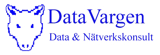 DataVargen Logo